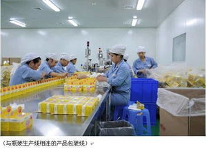河北省全面啟動保健食品及茶葉制品生產經營許可換證工作，筑牢安全防線